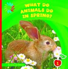 What Do Animals Do in Spring?