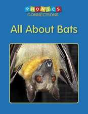 All about Bats