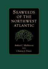 Seaweeds of the Northwest Atlantic