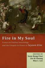 Fire in My Soul: Essays on Pauline Soteriology and the Gospels in Honor of Seyoon Kim