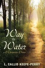 Way to Water: A Theopoetics Primer