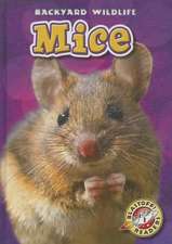 Mice