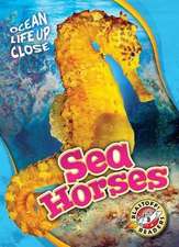 Sea Horses