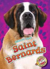 Saint Bernards