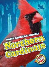 Northern Cardinals