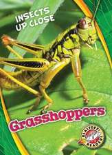 Grasshoppers