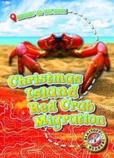 Christmas Island Red Crab Migration