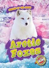 Arctic Foxes