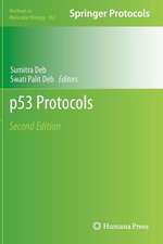 p53 Protocols
