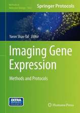 Imaging Gene Expression