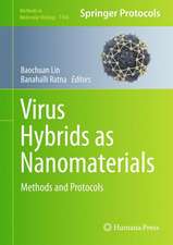 Virus Hybrids as Nanomaterials: Methods and Protocols