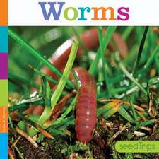 Worms