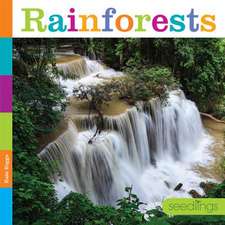 Rainforests