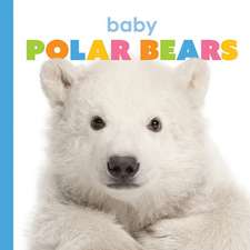 Baby Polar Bears