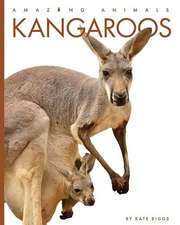 Kangaroos