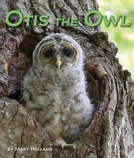 Otis the Owl