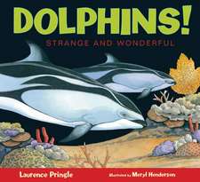 Pringle, L: Dolphins!