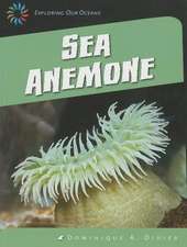 Sea Anemone