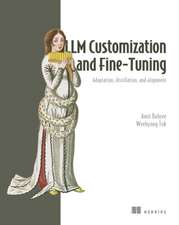 LLM Customization and Fine-Tuning