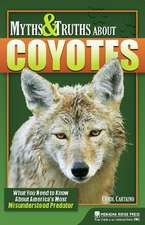 Myths and Truths About Coyotes