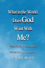 What in the World Does God Want with Me?