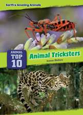 Animal Tricksters