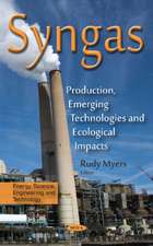 Syngas