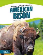 American Bison