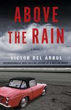 Above the Rain: A Novel