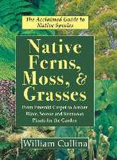 Native Ferns, Moss, and Grasses