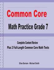 Common Core Math Practice Grade 7