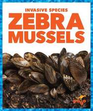 Zebra Mussels