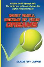 What Shall Become of Your Dreams: Parable of the Sponge Ball: The harder you get knocked down, the higher you bounce back