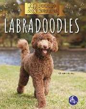 Labradoodles