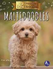 Maltidoodles