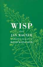 Wisp