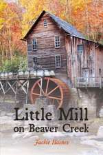 Little Mill on Beaver Creek: Volume 1