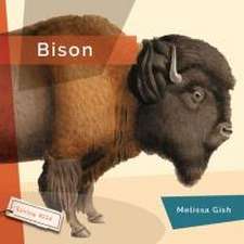 Bison