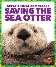 Saving the Sea Otter