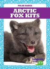 Arctic Fox Kits