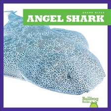 Angel Shark