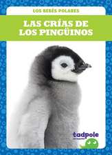 Las Crías de Los Pingüinos (Penguin Chicks)