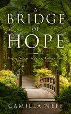 A Bridge to Hope: Finding Peace in the Painful Loss of a Child.