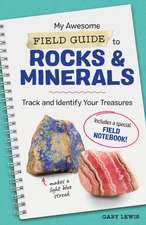 My Awesome Field Guide to Rocks and Minerals