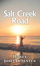 Salt Creek Road