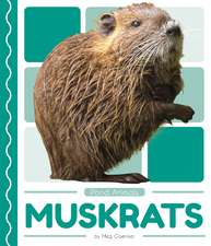 Muskrats