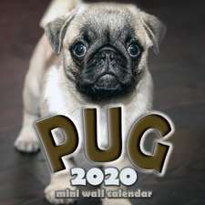 The Pug 2020 Mini Wall Calendar