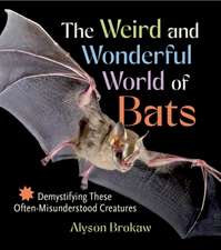 The Weird and Wonderful World of Bats