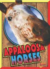 Appaloosa Horses