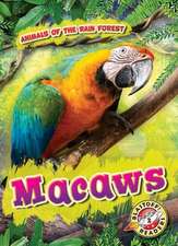 Macaws